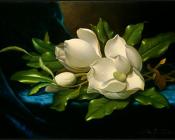 Giant Magnolias on a Blue Velvet Cloth - 马丁·约翰逊·赫德